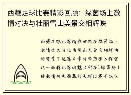 西藏足球比赛精彩回顾：绿茵场上激情对决与壮丽雪山美景交相辉映
