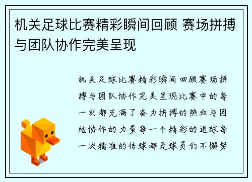 机关足球比赛精彩瞬间回顾 赛场拼搏与团队协作完美呈现