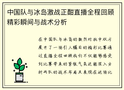 中国队与冰岛激战正酣直播全程回顾精彩瞬间与战术分析
